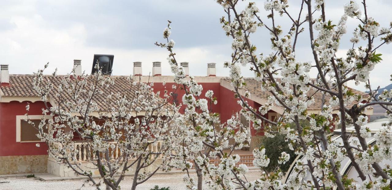 Alojamientos Casa Ruiz Archivel Εξωτερικό φωτογραφία